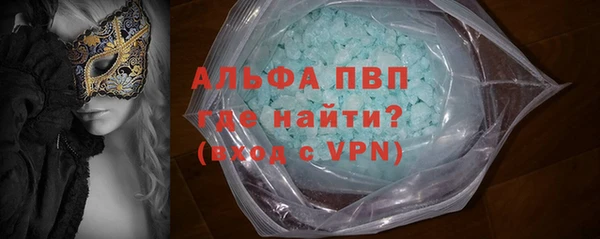 индика Баксан