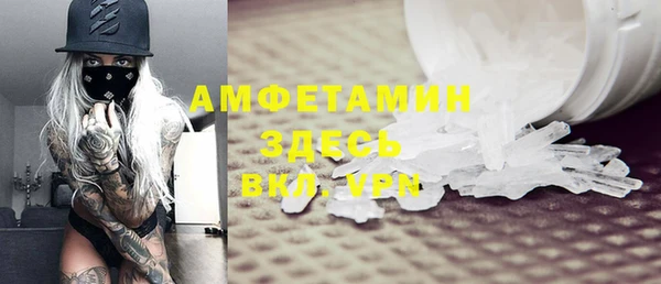 индика Баксан