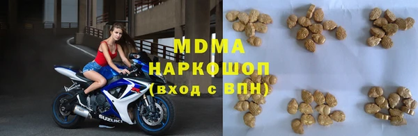 индика Баксан