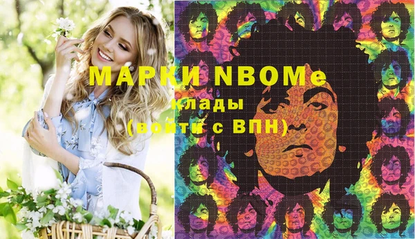 индика Баксан