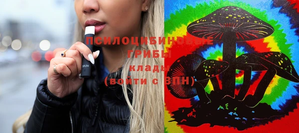 индика Баксан