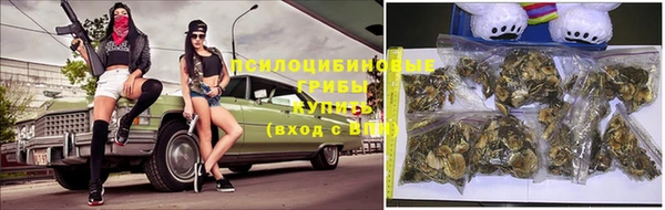 дмт Балабаново