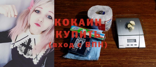 индика Баксан