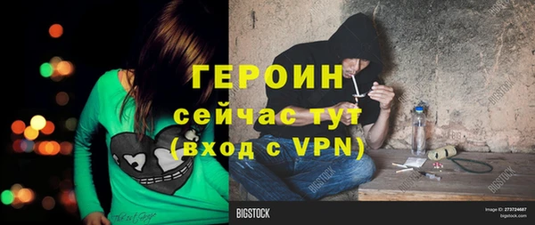 ПСИЛОЦИБИНОВЫЕ ГРИБЫ Новозыбков