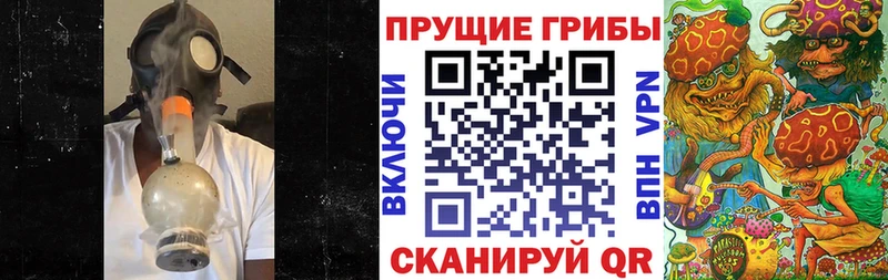 сколько стоит  Бежецк  Псилоцибиновые грибы мицелий 